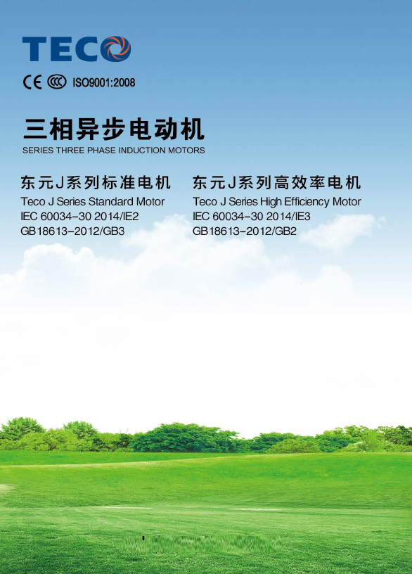 東元電機-AEEVJ系列電機-電子檔樣本-2016年版.pdf