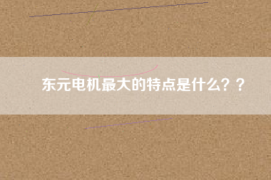 東元電機(jī)最大的特點(diǎn)是什么？？